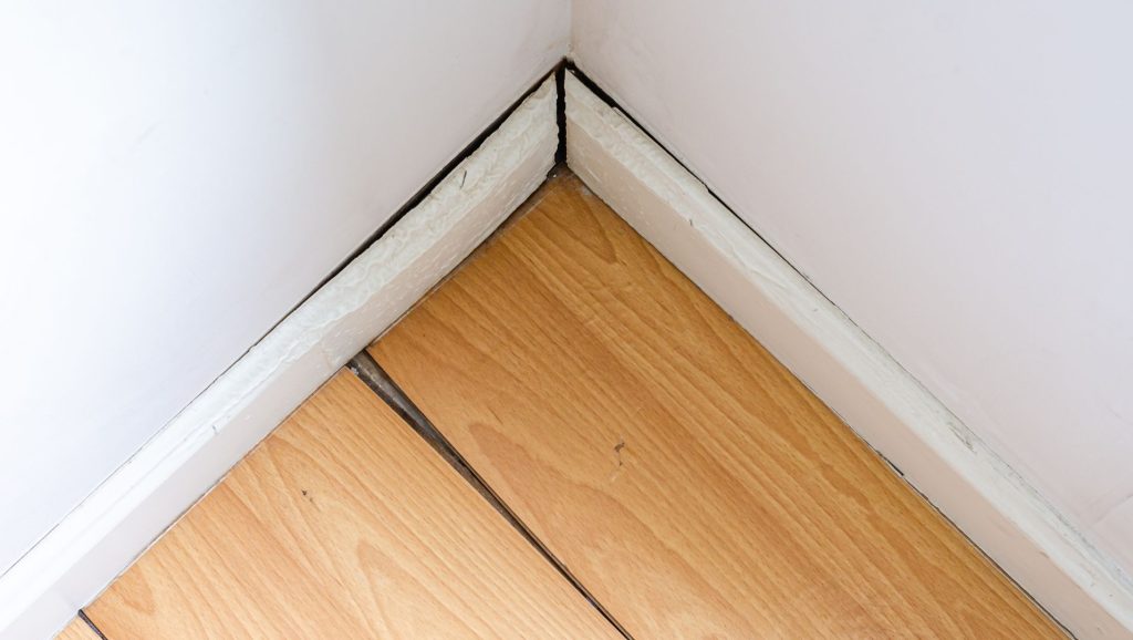 Close-up of a skirting board coming away from the wall due to moisture damage.