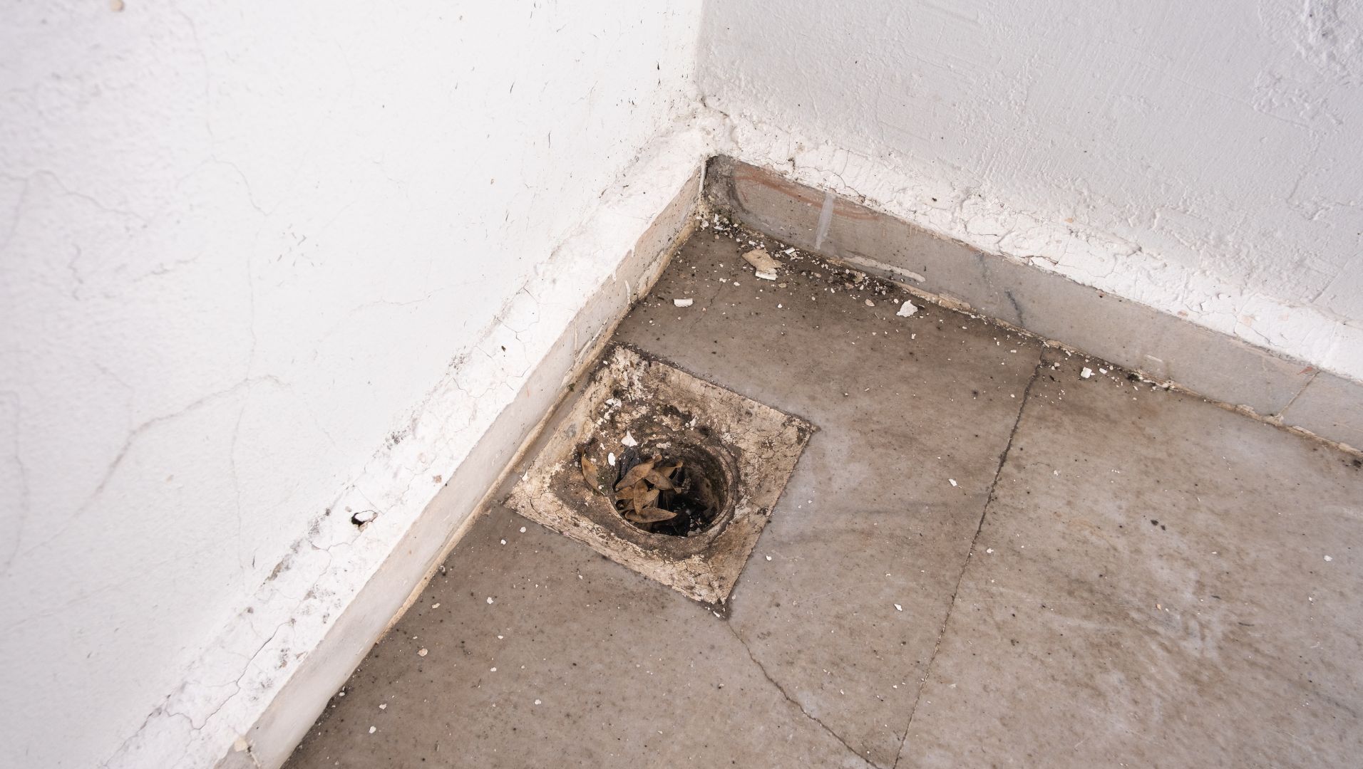 A floor drain partially blocked by small objects and debris
